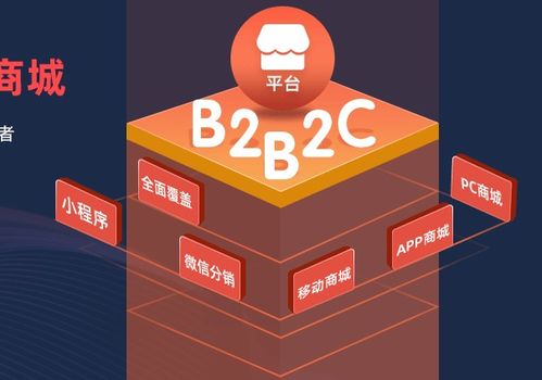 b2b2c 商业模式 把客户的客户,变成你的最终客户 多店铺商城开发指南